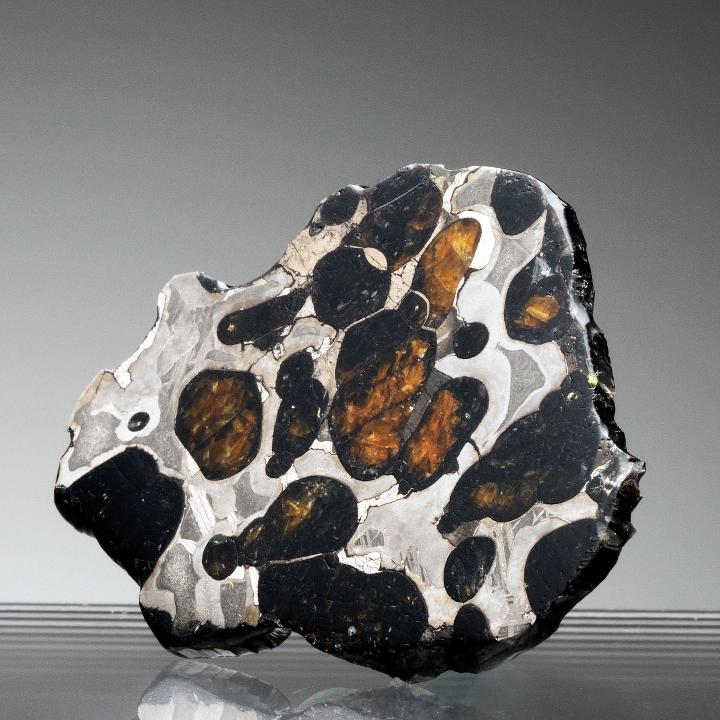 Brenham Pallasite Meteorite // Ver. 5