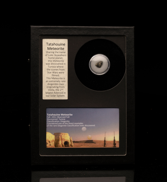 Tatahouine Meteorite in Collector's Box