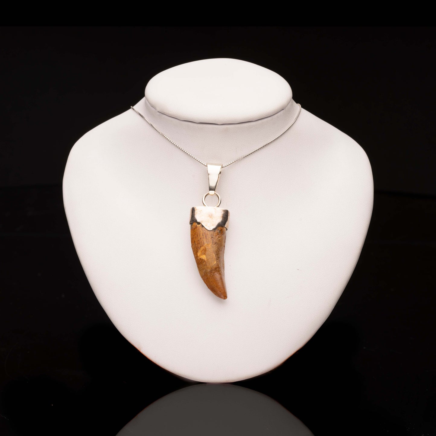 African T. Rex Tooth Pendant