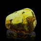 Baltic Amber With Spider
