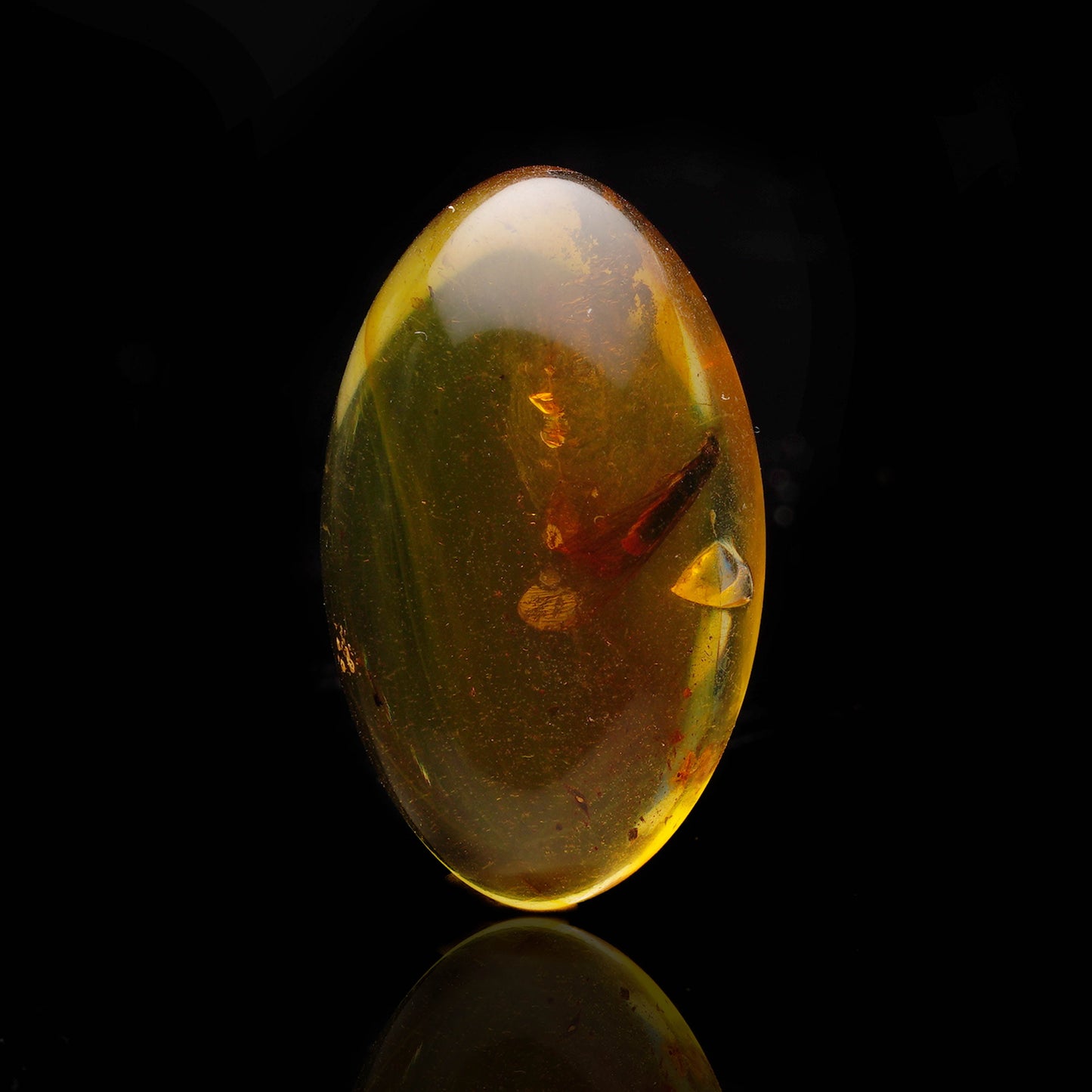 Baltic Amber With Caddisfly // 1.75 Grams