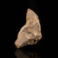 Estherville Meteorite // 2.10 Grams