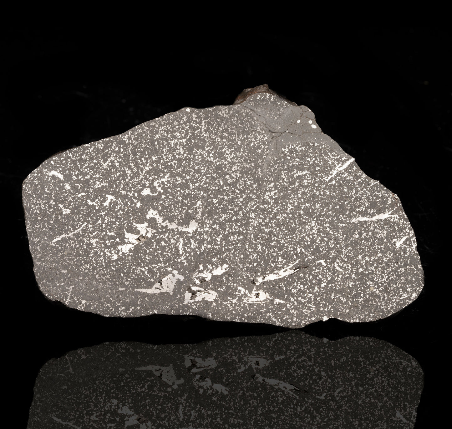 Ras Tassedant Meteorite Slice // 173 Grams