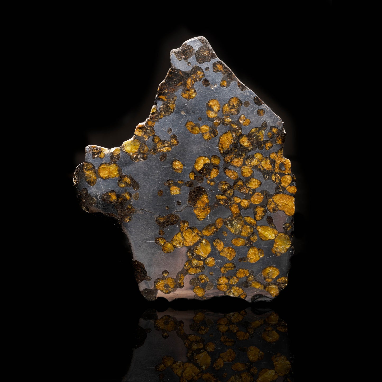 Brenham Pallasite Meteorite // 148 Grams