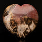 Petrified Wood Heart // 2.93 Lb.