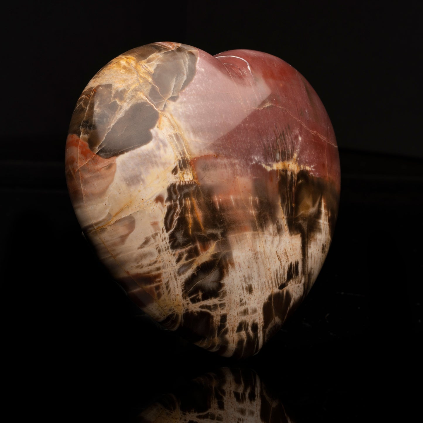 Petrified Wood Heart // 2.93 Lb.