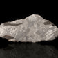 Soledade Meteorite Slice // 389 Grams