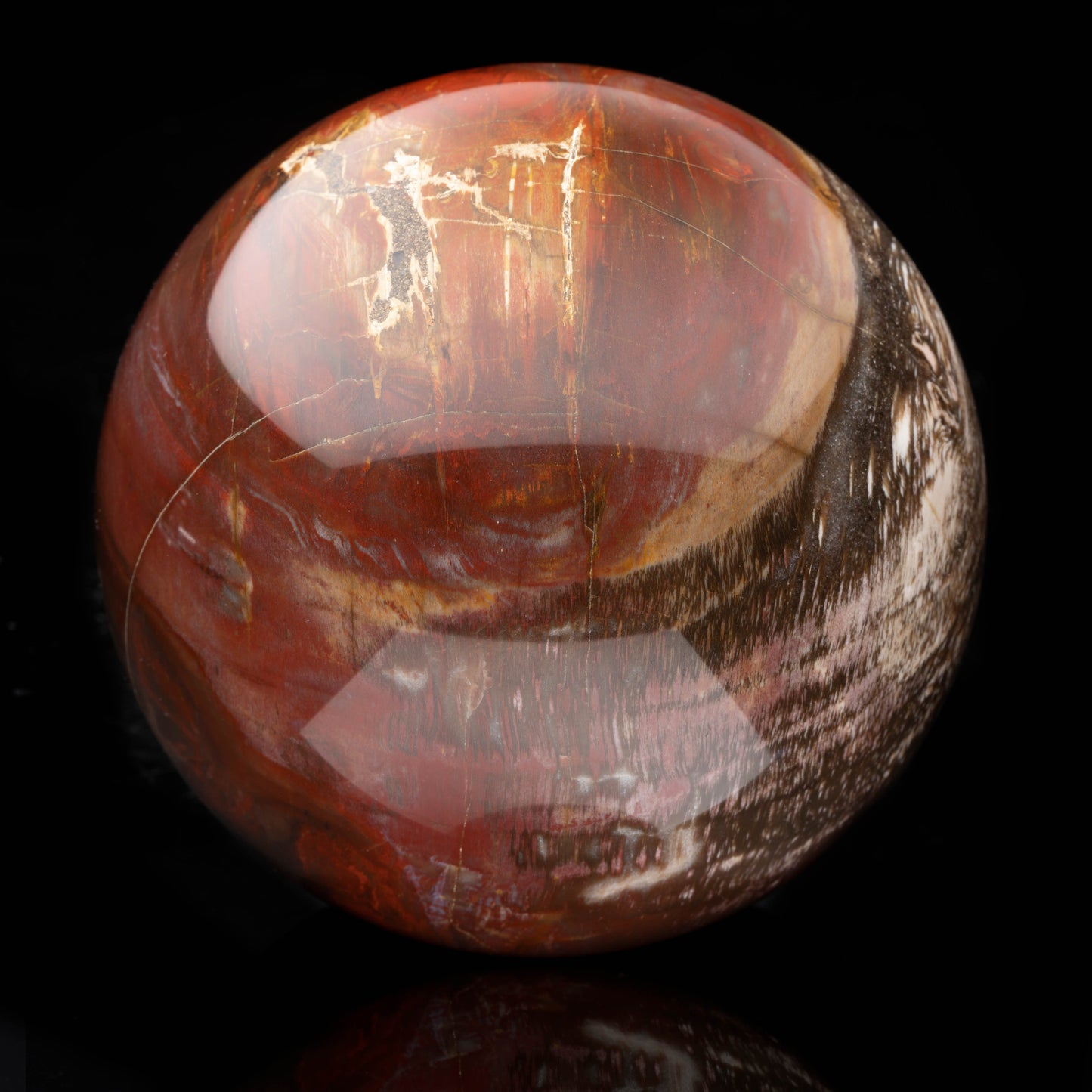 Hand-Carved Petrified Wood Sphere From Arizona // 3.20 Lb.
