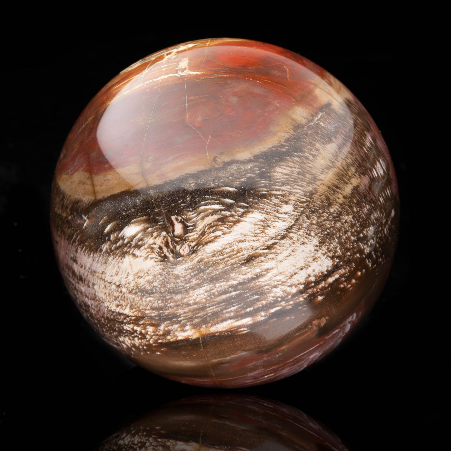 Hand-Carved Petrified Wood Sphere From Arizona // 3.20 Lb.