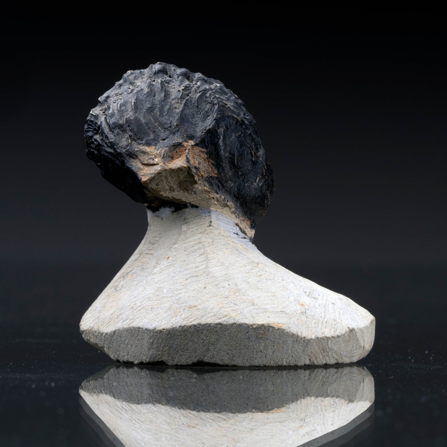 Trilobite Fossil // 103 Grams