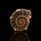 Ammonite Ring With Pink and Orange Sapphires // Size 7