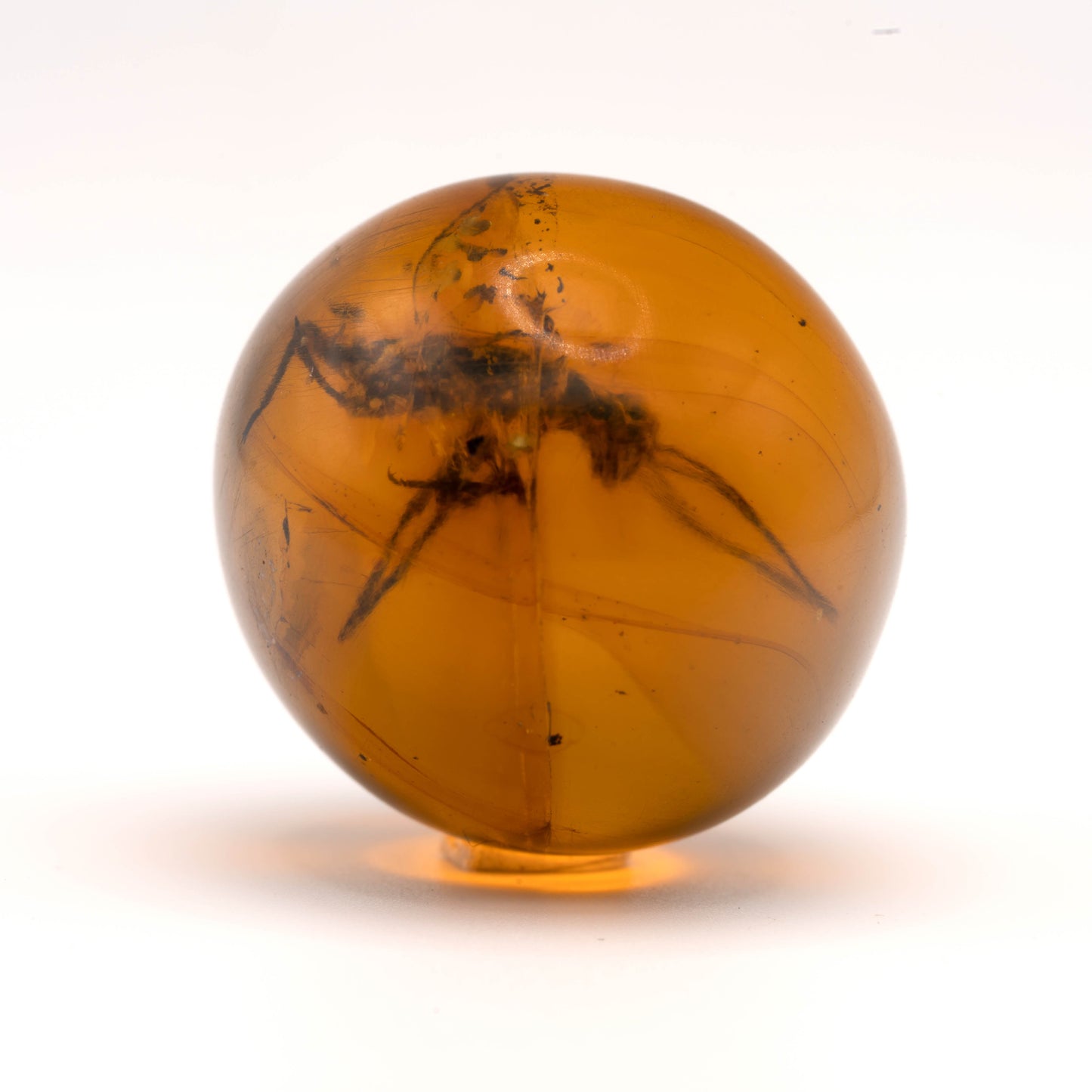 Mexican Amber Sphere With Orthoptera // 7.16 Grams