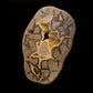 Septarian Stone Slice // 1.58 Lb.