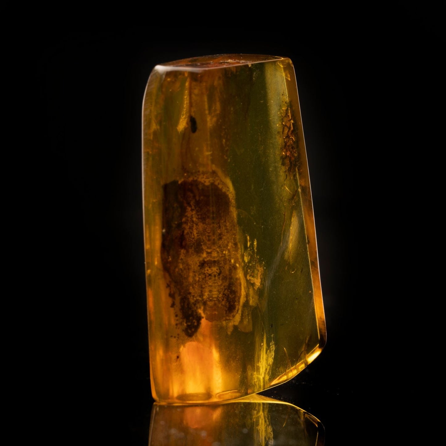 Baltic Amber with Termite, Ant, Gnat, and Leaf