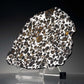 Brenham Pallasite Meteorite // Ver. 10