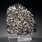 Brenham Pallasite Meteorite // Ver. 10
